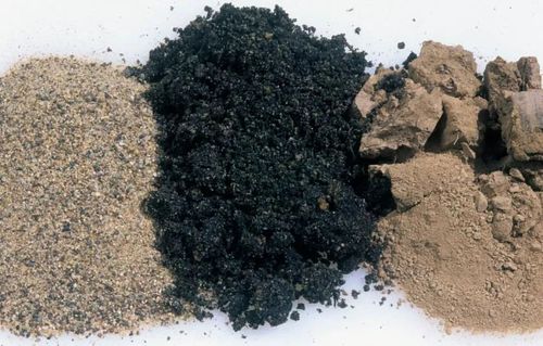 黑土，土壤，不同土壤对比