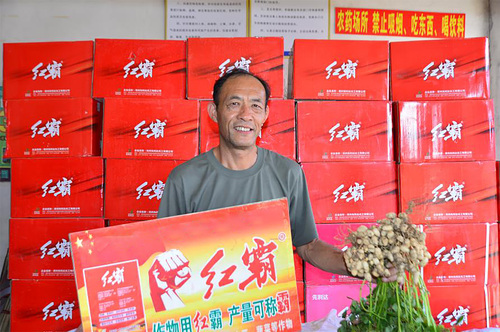 红霸花生增产，花生种植，春耕，