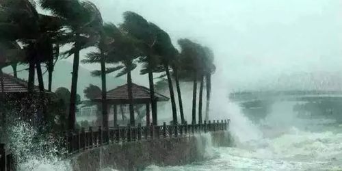 台风，自然灾害，气候