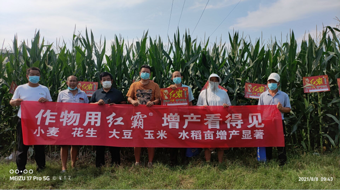 先利达红霸玉米增产套餐