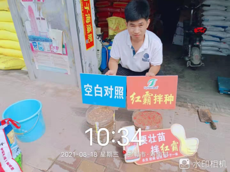 红霸小麦拌种剂